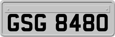 GSG8480
