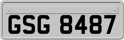 GSG8487