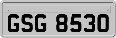 GSG8530