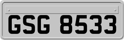 GSG8533