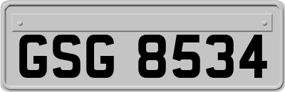 GSG8534