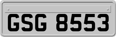 GSG8553