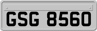 GSG8560