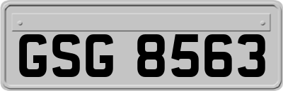 GSG8563