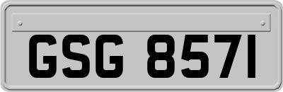 GSG8571