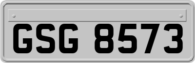 GSG8573