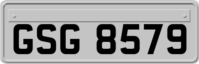 GSG8579
