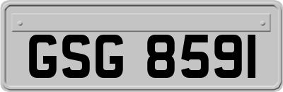 GSG8591