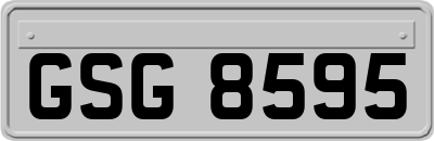 GSG8595