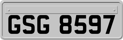 GSG8597
