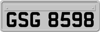 GSG8598