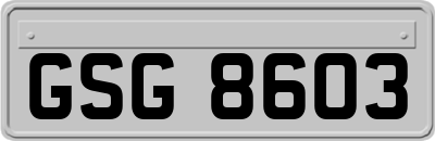 GSG8603