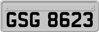 GSG8623