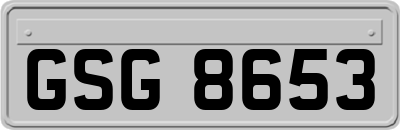 GSG8653
