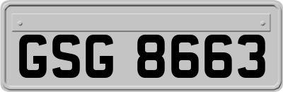 GSG8663