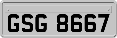 GSG8667
