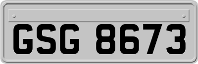 GSG8673