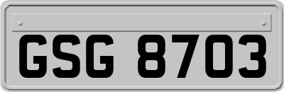 GSG8703