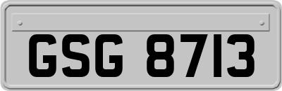 GSG8713
