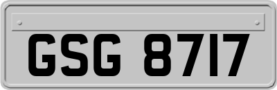 GSG8717