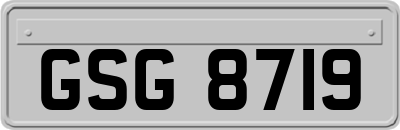 GSG8719