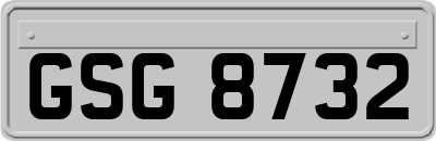 GSG8732