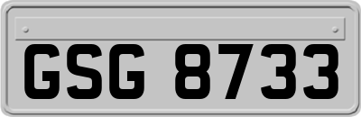 GSG8733