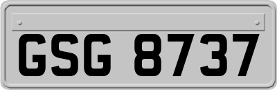 GSG8737