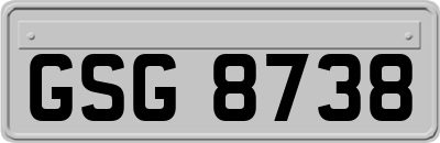 GSG8738
