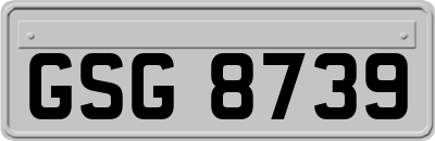 GSG8739