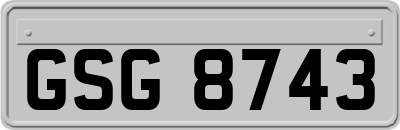 GSG8743
