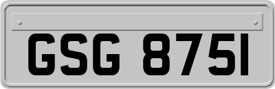 GSG8751