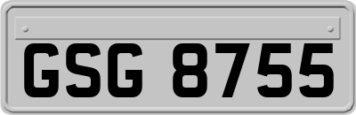 GSG8755