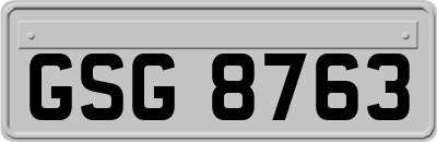 GSG8763