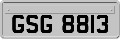 GSG8813