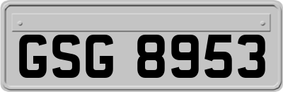 GSG8953