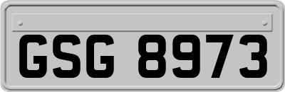GSG8973