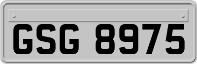 GSG8975