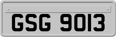 GSG9013