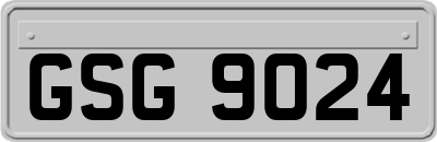 GSG9024