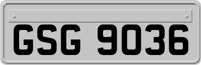 GSG9036
