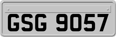 GSG9057
