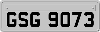 GSG9073