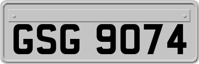 GSG9074