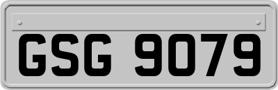 GSG9079