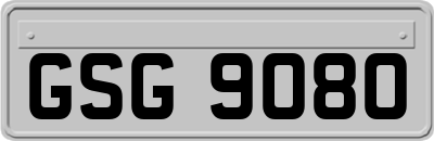 GSG9080