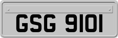 GSG9101