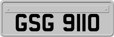 GSG9110