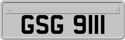 GSG9111