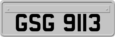 GSG9113